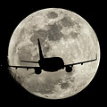 To The Moon Alice